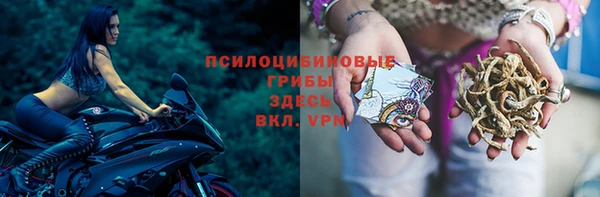 герыч Арсеньев
