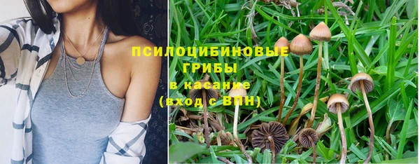 герыч Арсеньев