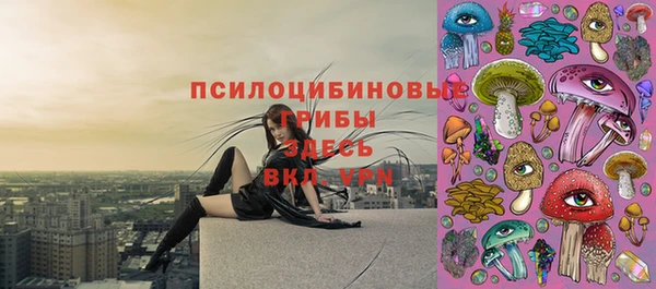 spice Аркадак